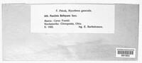 Image Associated With the Occurence